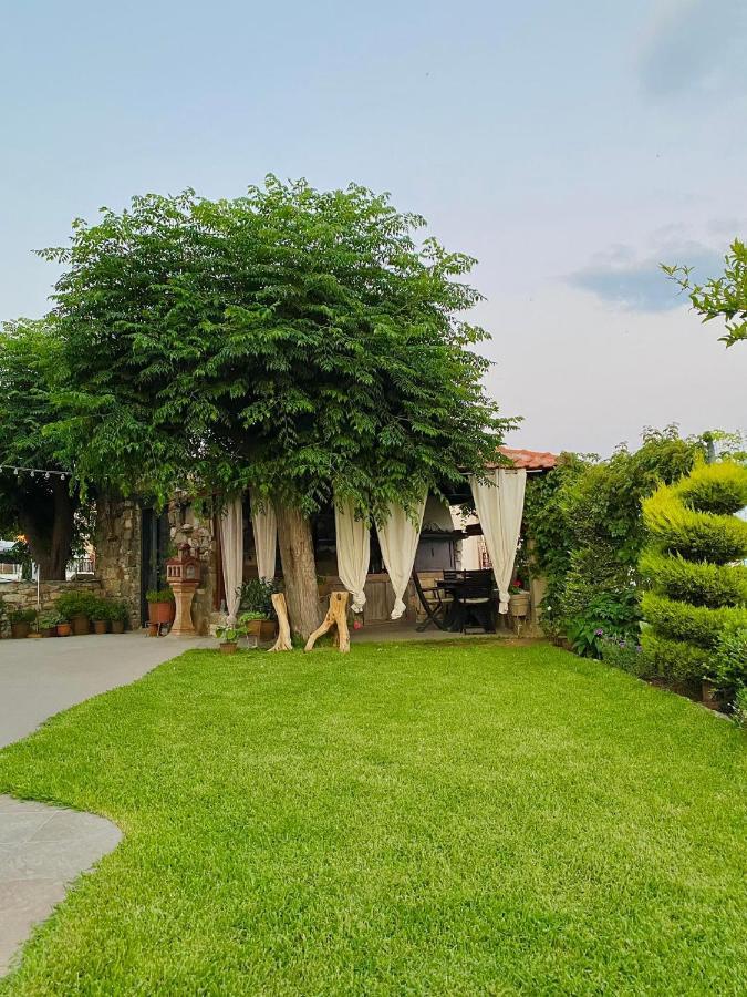 Noula'S House Apartment อาโยส นิโกลาออส ภายนอก รูปภาพ